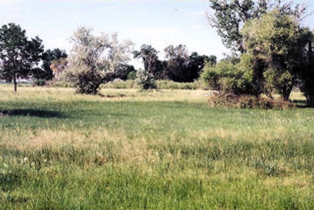 Excellent Small Ranching Property in Burlington, Wyoming