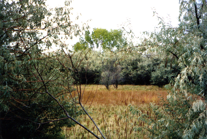 Click here for slideshow