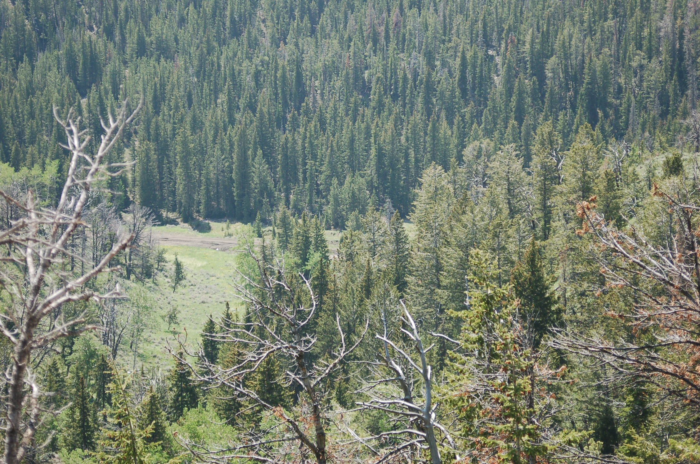 Love's Gifts And Other Things