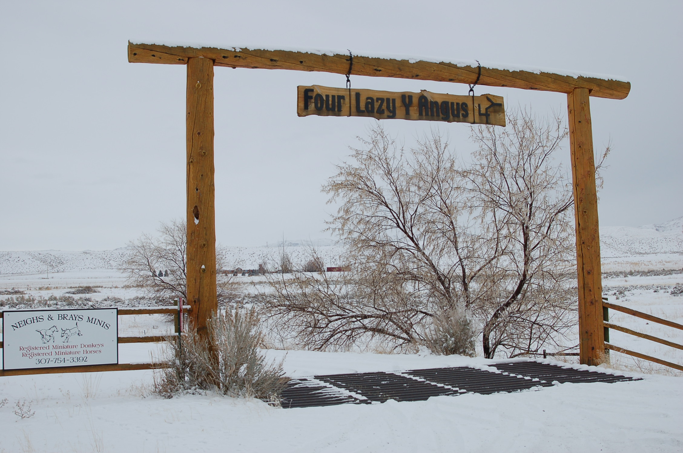 Love's Gifts And Other Things