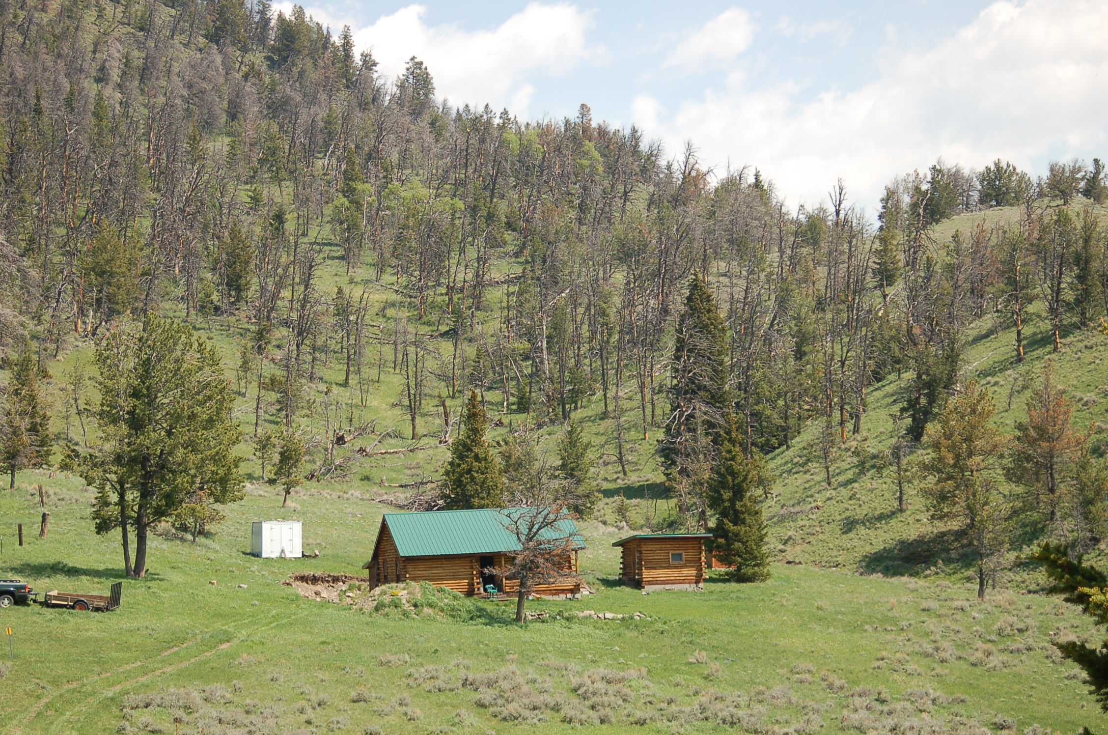 Love's Gifts And Other Things