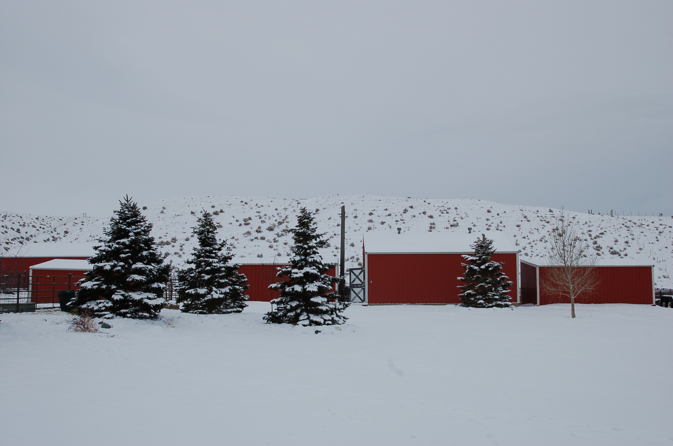 Love's Gifts And Other Things