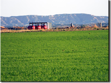 Dorsey Creek Ranch