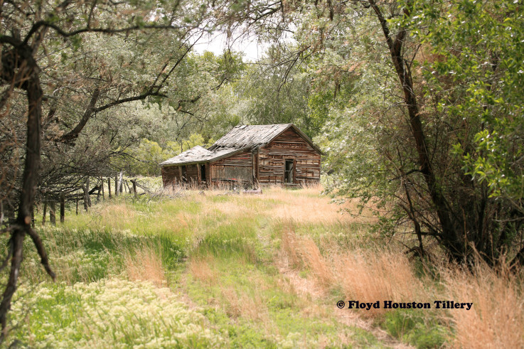Old cabin in the mountains