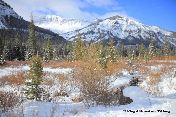 Snowy mountains