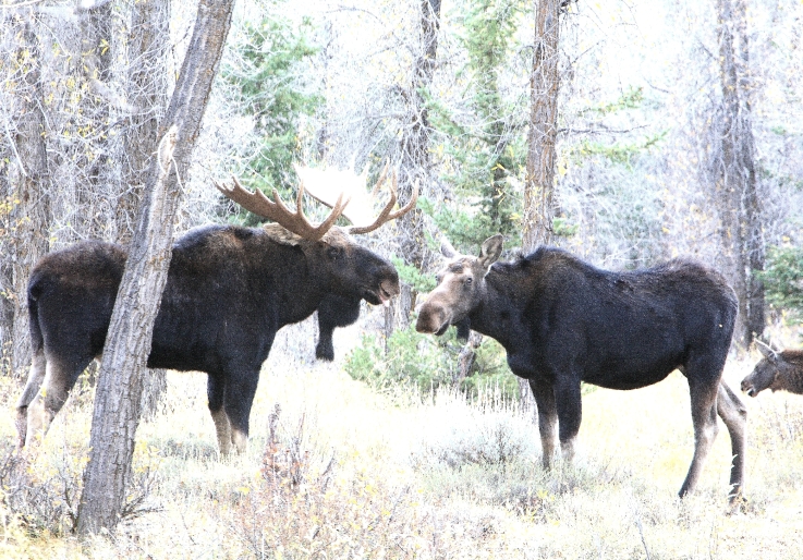 to Cowboy Realty Capture the West!