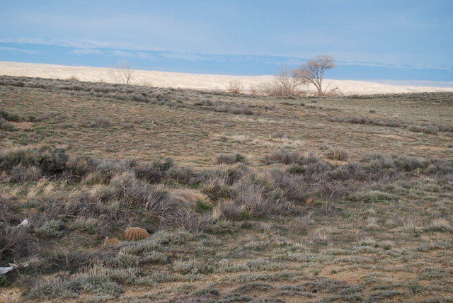 Big Horn County Land