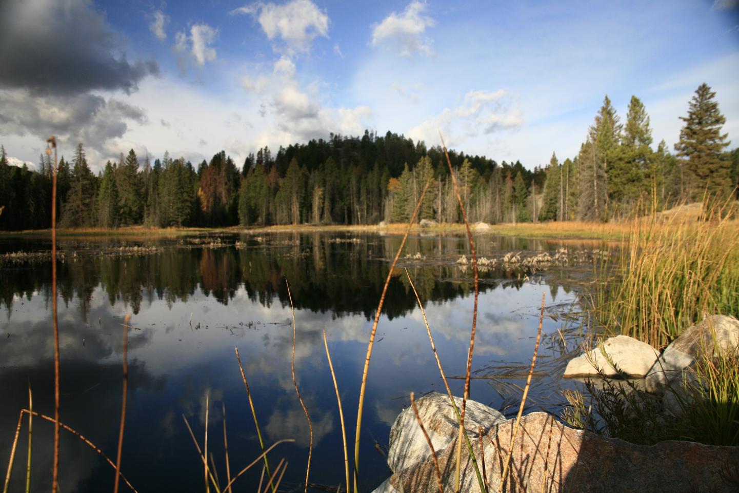 Wyoming Landscape